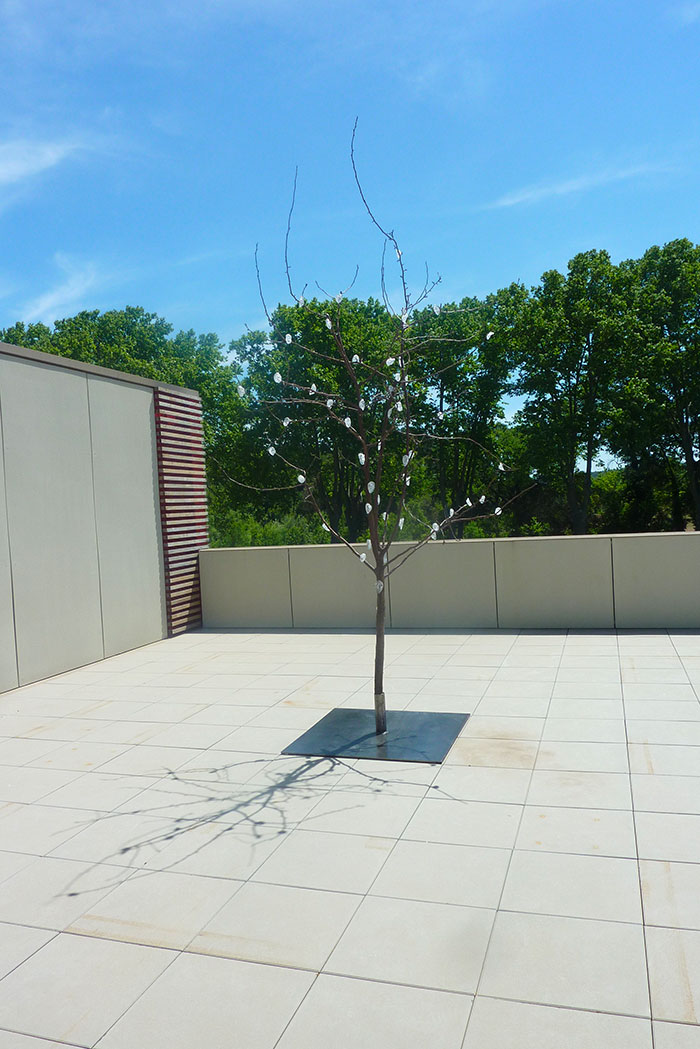 L'arbre mémoire - Galerie Deleuze Rochetin