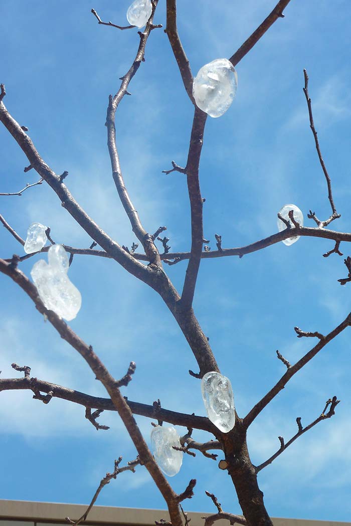 L'arbre mémoire (détail) - Galerie Deleuze Rochetin